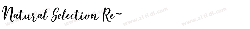 Natural Selection Re字体转换